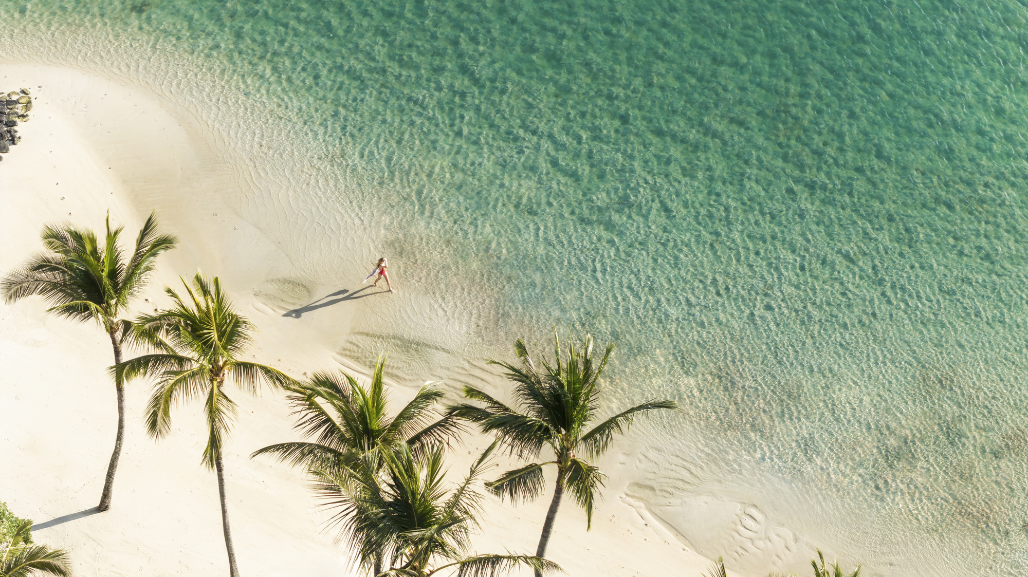Constance Prince Maurice