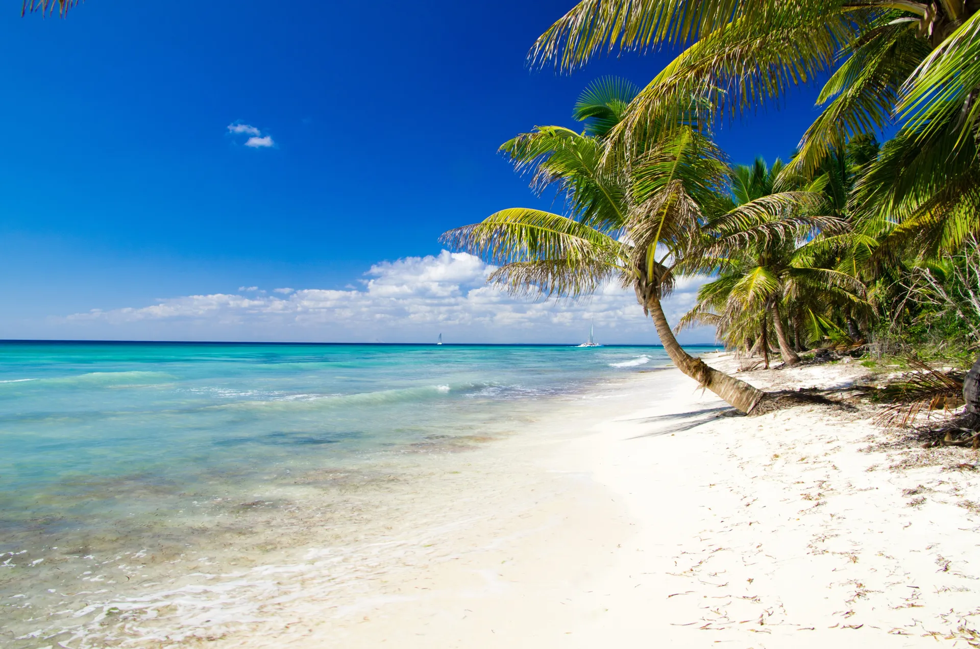 Pointe aux Piments coast, Mauritius
